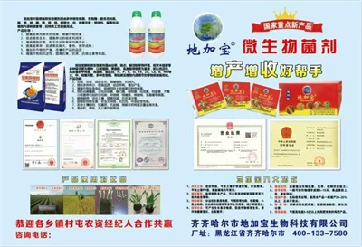 菌动黑土，沃野生金 “地加宝”创始人张孝宝