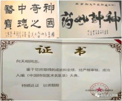 易医名家向天相：传承古法 守护安康