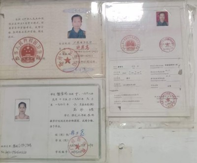 疑难病诊疗专家——黎雪凤