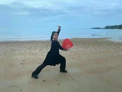疑难病诊疗专家——黎雪凤