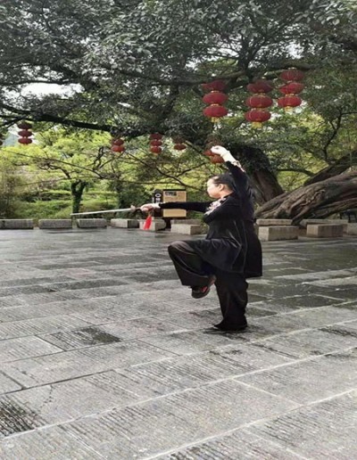 疑难病诊疗专家——黎雪凤