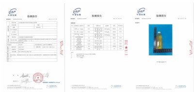 道医脉络学现代疗法创始人——杨忠