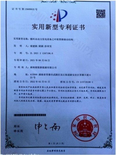 林伏明：领军新能源科技，擘画湖南骏能绿色发展蓝图