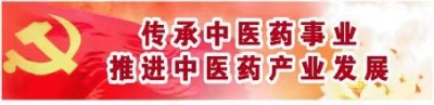 中华医圣王叔和第八十七代传承王恩斌