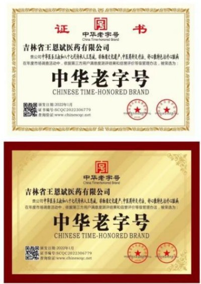 中华医圣王叔和第八十七代传承王恩斌