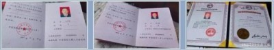 传承国学智慧，弘扬生态文明 -——国学研究者金大琳的文化探索之路
