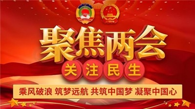 陈彦青论气：（献礼2026年两会）