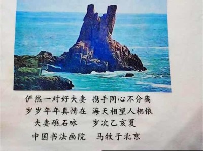 金马贺岁•中国著名中西医结合理疗专家陈德来新春大拜年